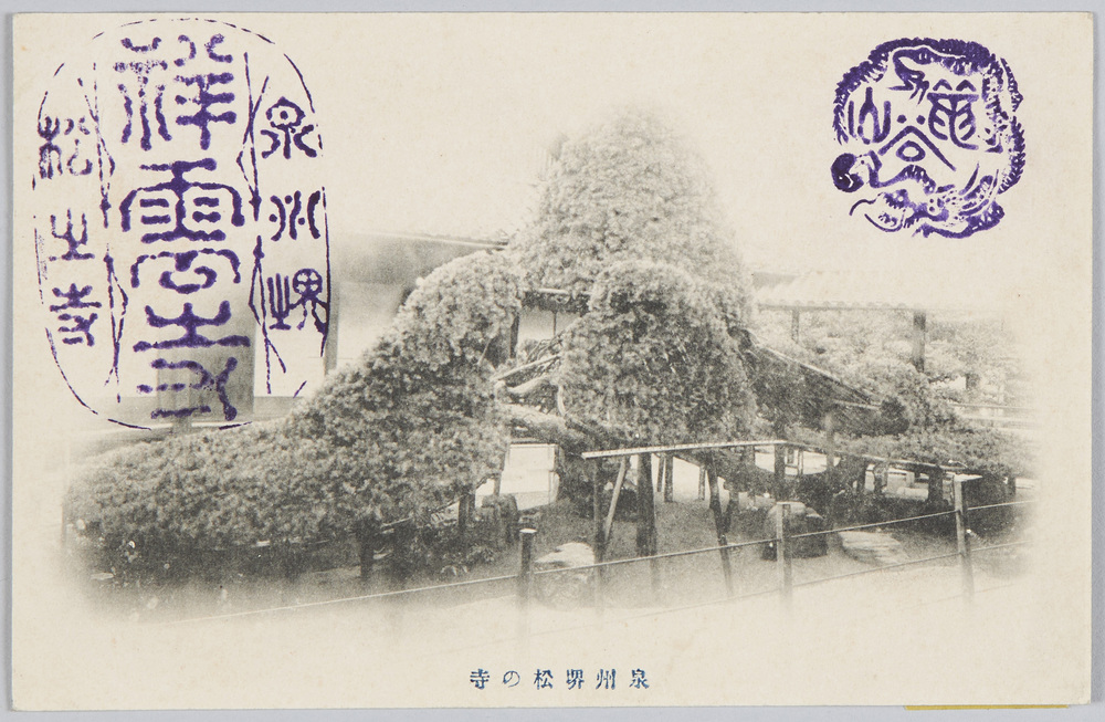 作品画像:泉州堺松の寺