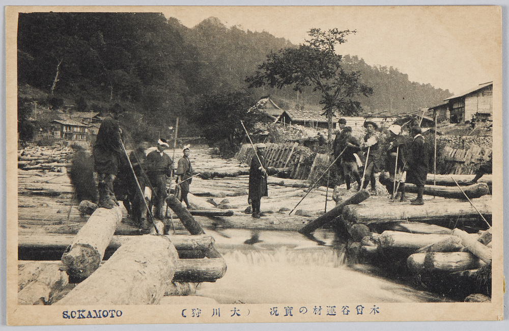 作品画像：木曽谷運材の実況(大川狩)