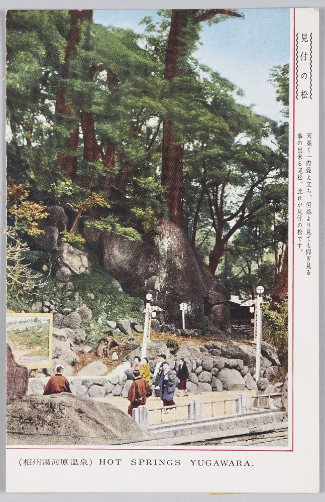 作品画像:(相州湯河原温泉)見付の松