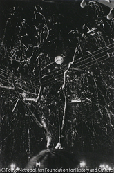 作品画像: