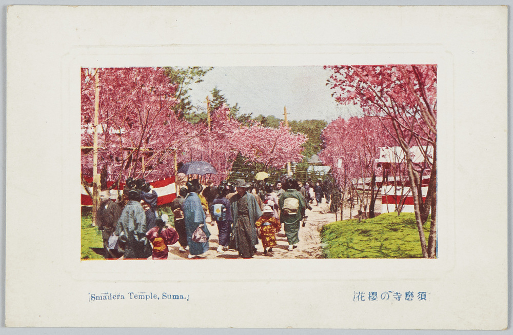 作品画像：須磨寺の桜花