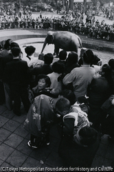 作品画像:上野動物園(上野公園)