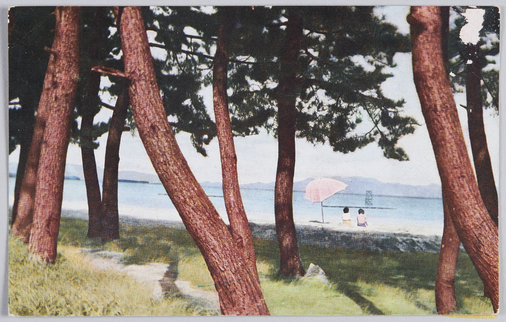 作品画像：新琵琶湖八景　絵葉書