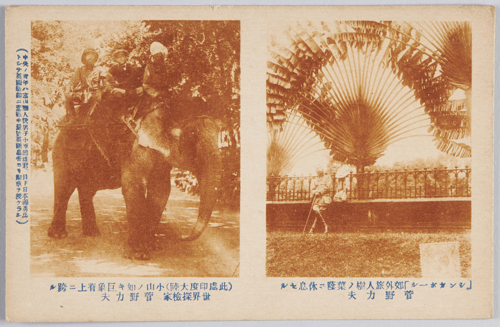 作品画像:「シンガポール」郊外旅人樹ノ葉陰ニ休息セル菅野力夫
