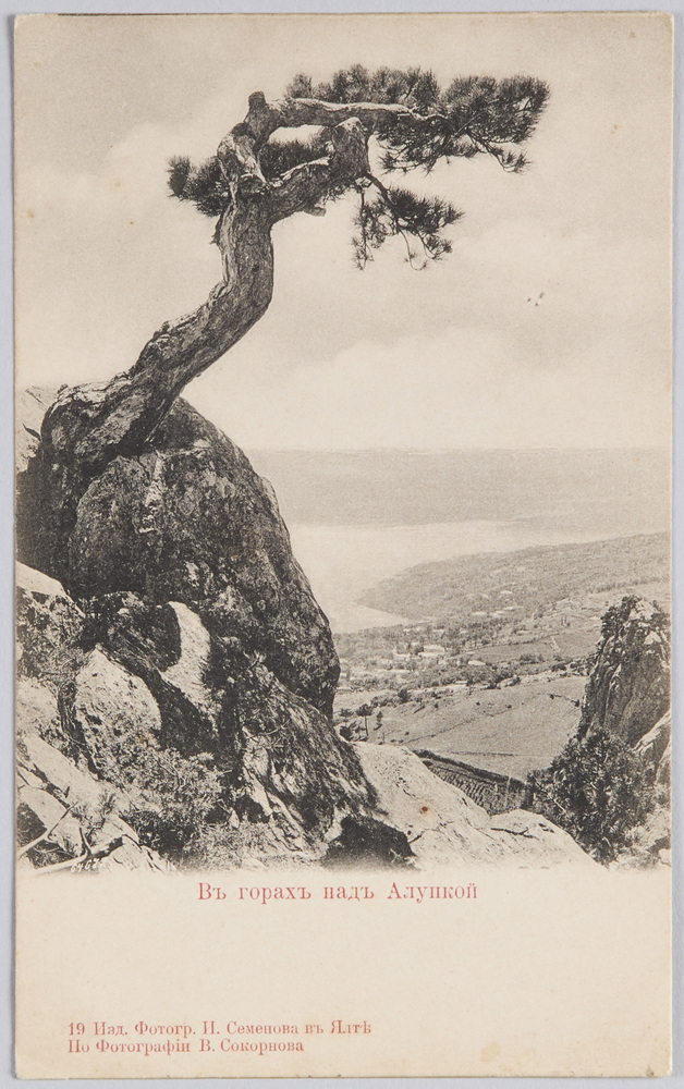 作品画像:Въ горахъ надъ Алункой