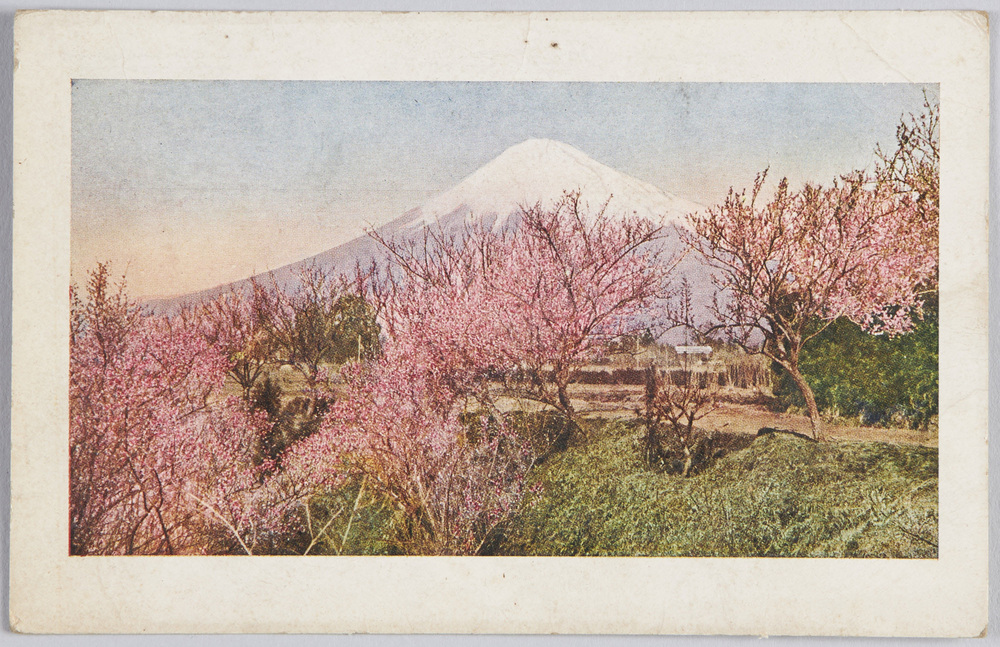 作品画像:富士山