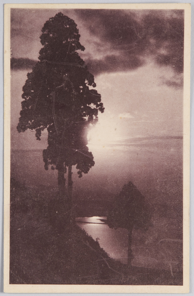 作品画像:大樹のある水辺の風景
