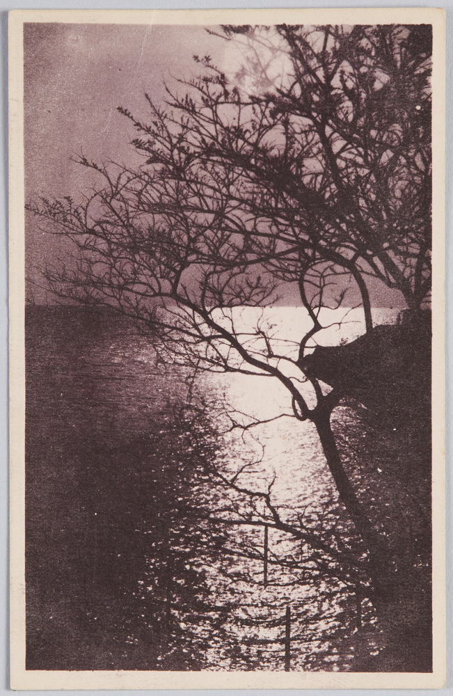 作品画像：水辺の風景