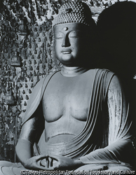 作品画像:九品仏浄真寺、阿弥陀如来座像