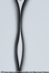作品画像:作品2