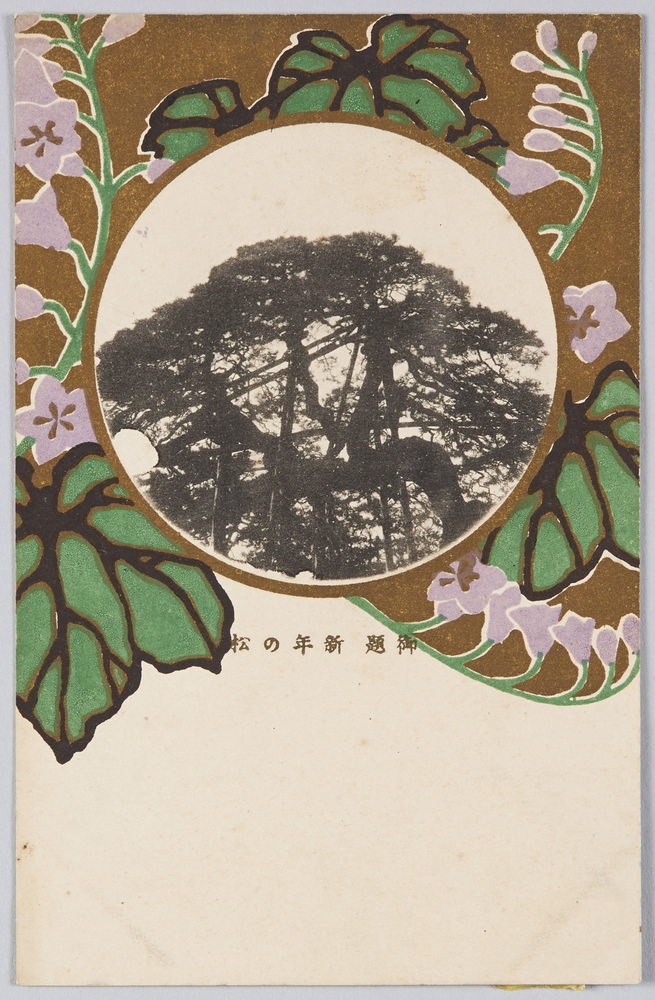 作品画像:御題 新年の松