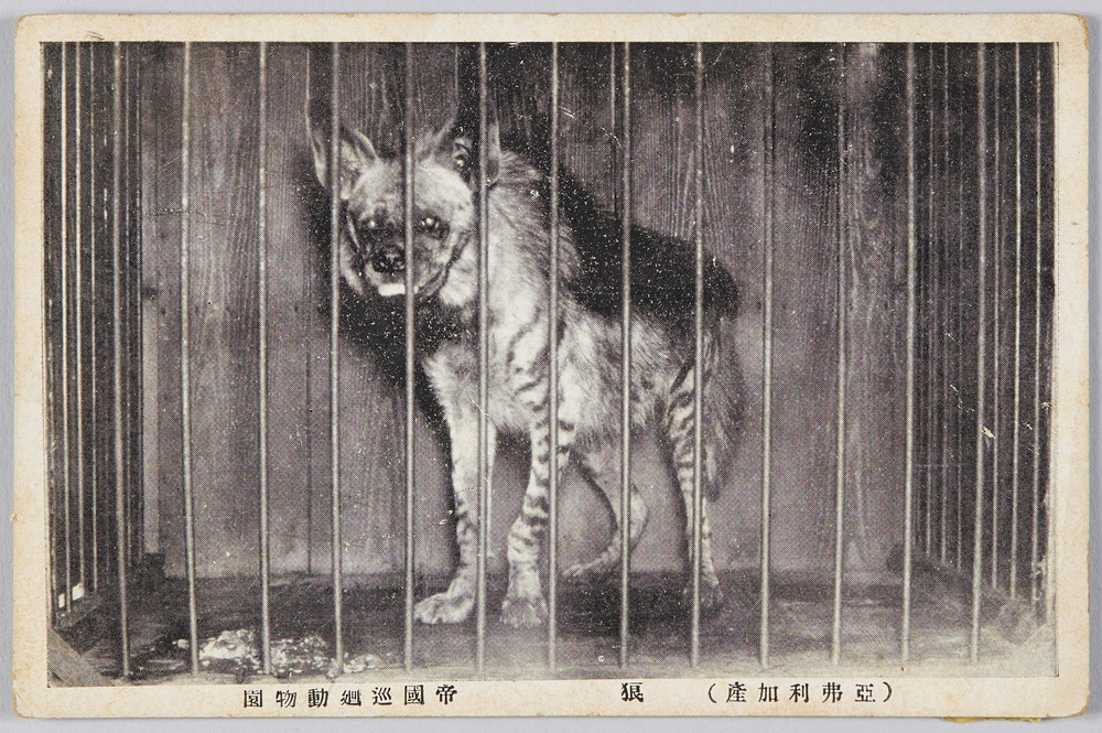 作品画像：帝国巡廻動物園