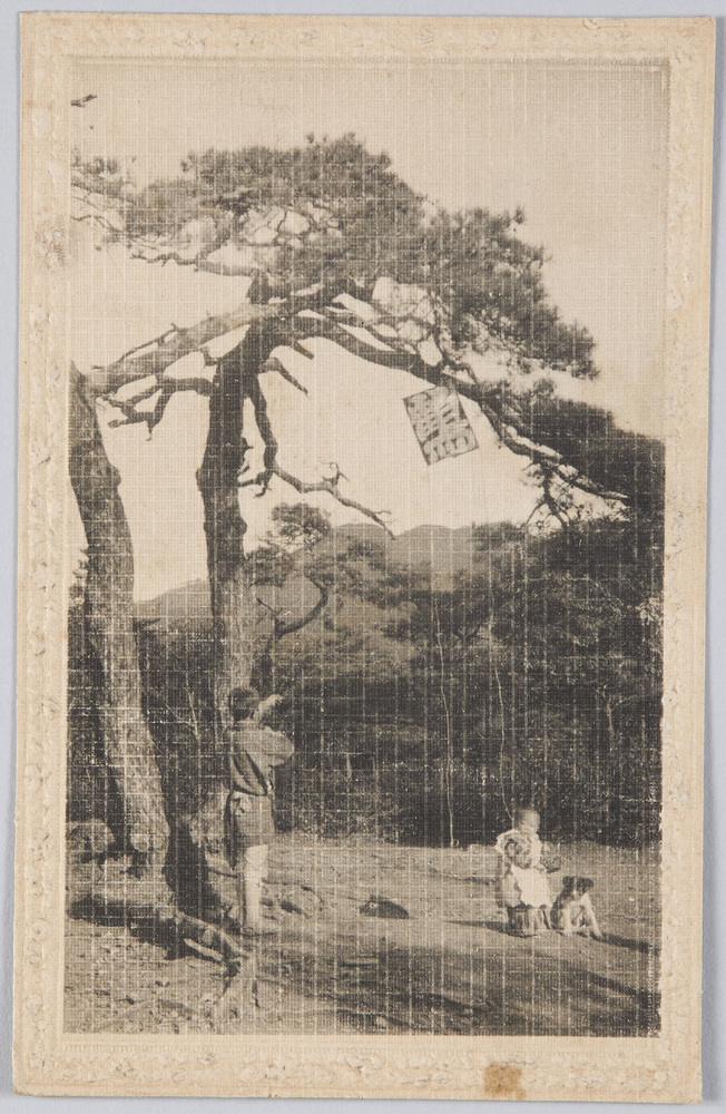 作品画像:凧揚げ