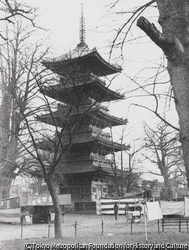 作品画像：浅草寺五重塔
