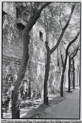 作品画像:胡同