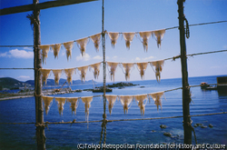 作品画像:海辺の村