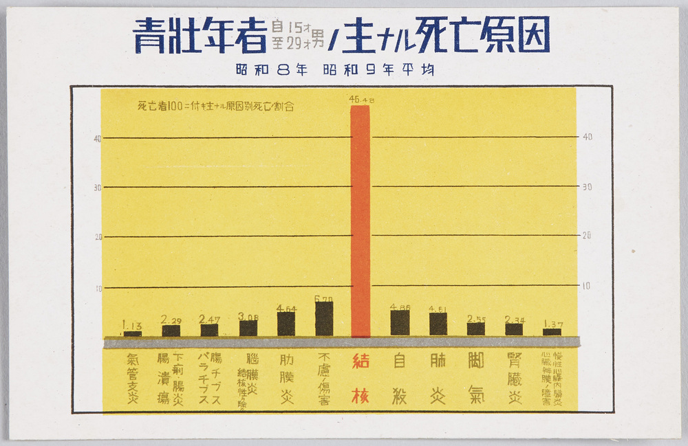 作品画像:結核予防国民運動記念