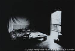 作品画像: