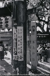 作品画像: