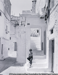 作品画像:チステルニーノ, 1984