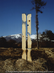 作品画像:81-11