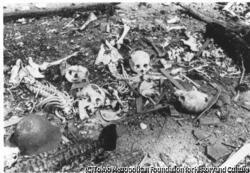 作品画像:城山国民学校校庭にのこる遺骨