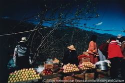 作品画像：台湾