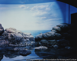 作品画像:No.1916 八景島 アクアミュージアム 、建設途上