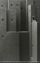 作品画像:バビロンの図書館(n゜0)