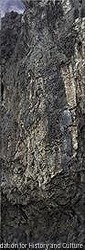作品画像:Okinawa#014