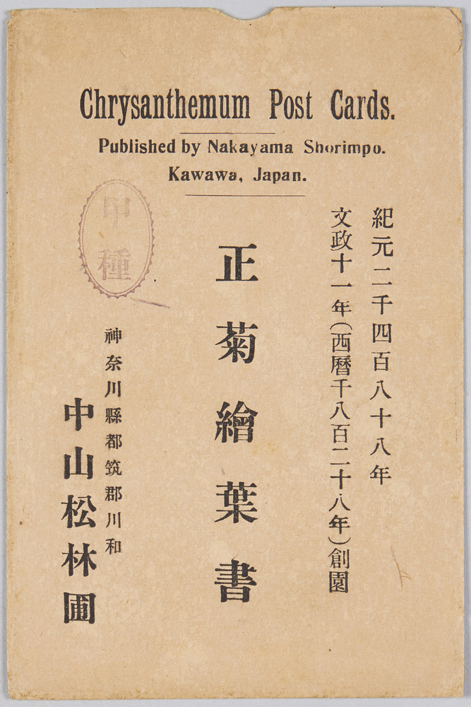 作品画像:正菊絵葉書(甲種) 袋