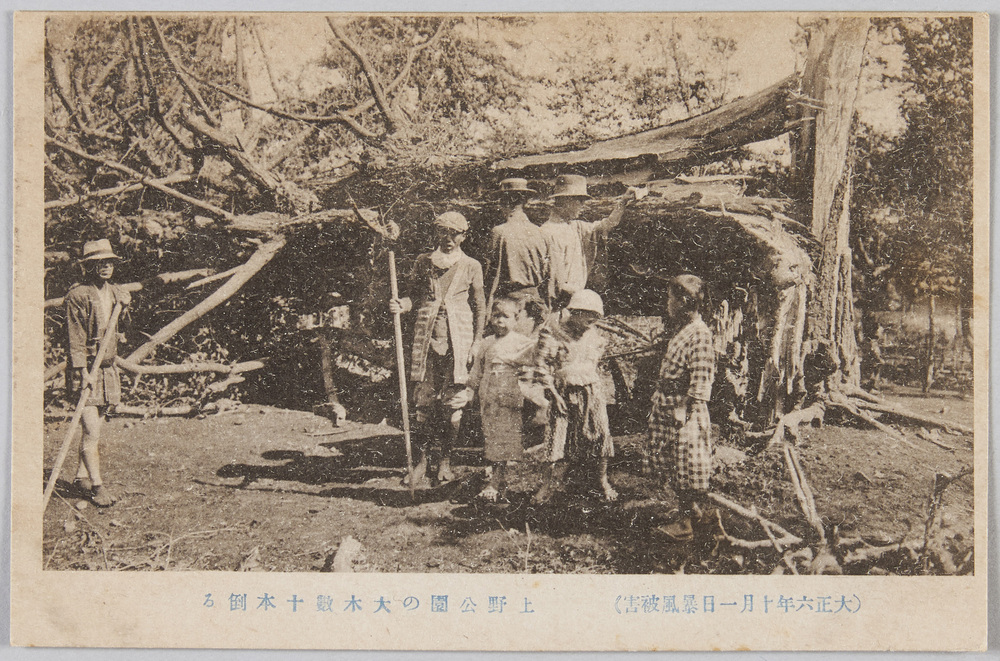 作品画像:大正六年十月一日暴風被害