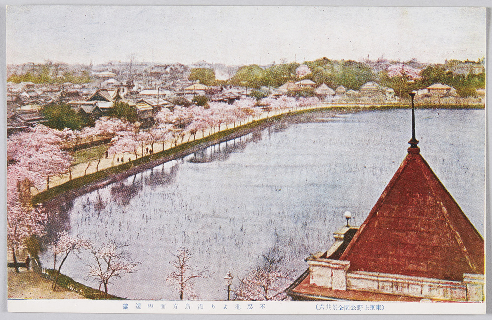 作品画像:原色版印刷 上野公園不忍池全景