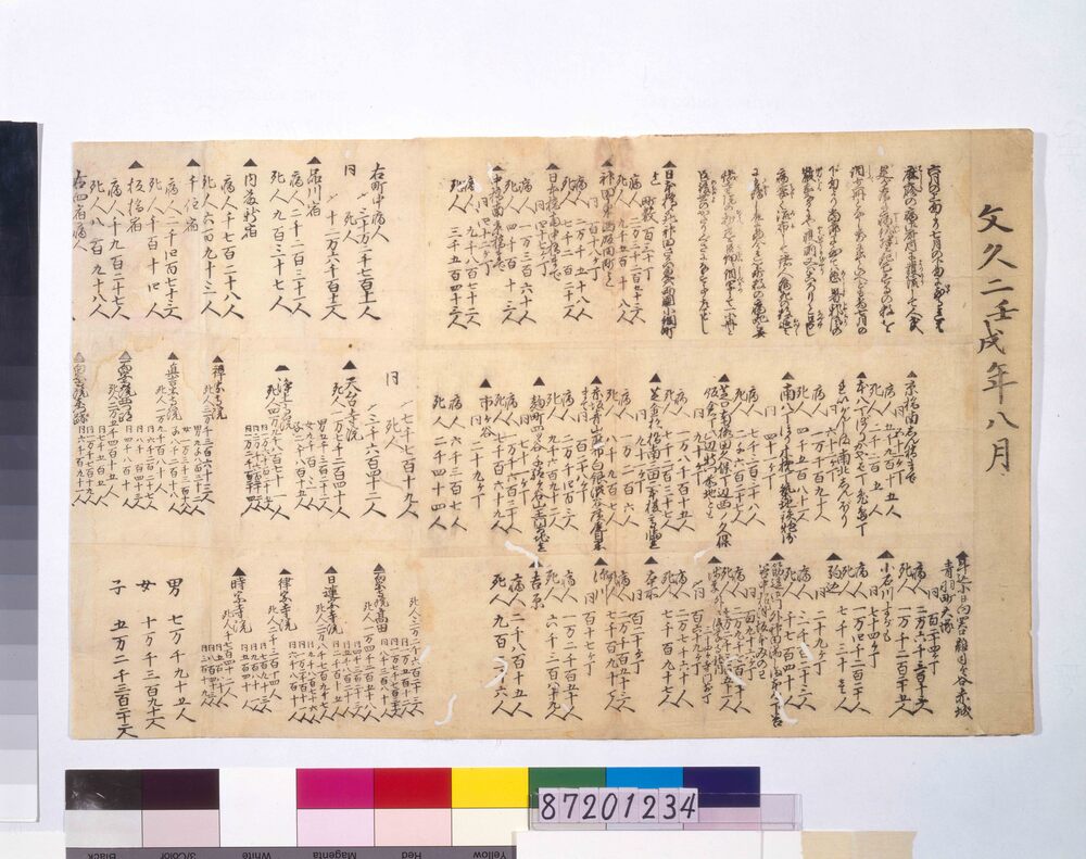 作品画像:文久二年八月麻疹による病人死人の数書上