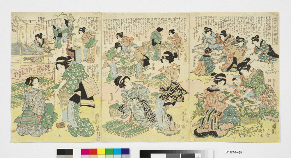 作品画像:蚕織図会