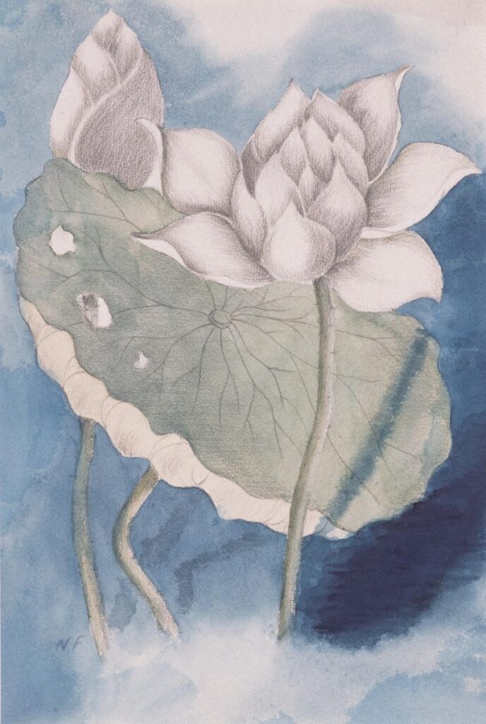 作品画像:蓮の花