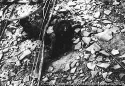 作品画像：長崎被爆写真 A-13-21