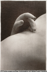 作品画像: