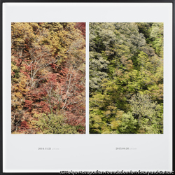 作品画像:国有林の山肌(福島県双葉郡富岡町国有林)