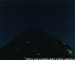 作品画像: