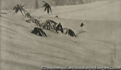 作品画像:雪折笹