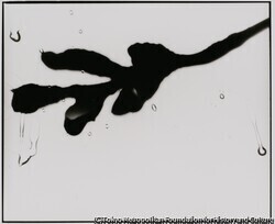 作品画像:
