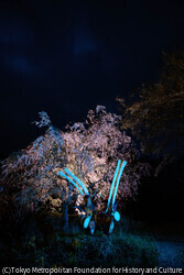 作品画像:Maikawa, Ichinoseki, Iwate
