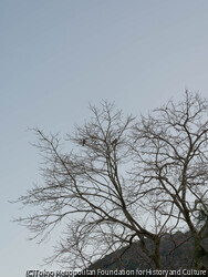 Untitled(別府)