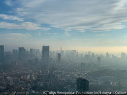 作品画像:#31 Tokyo