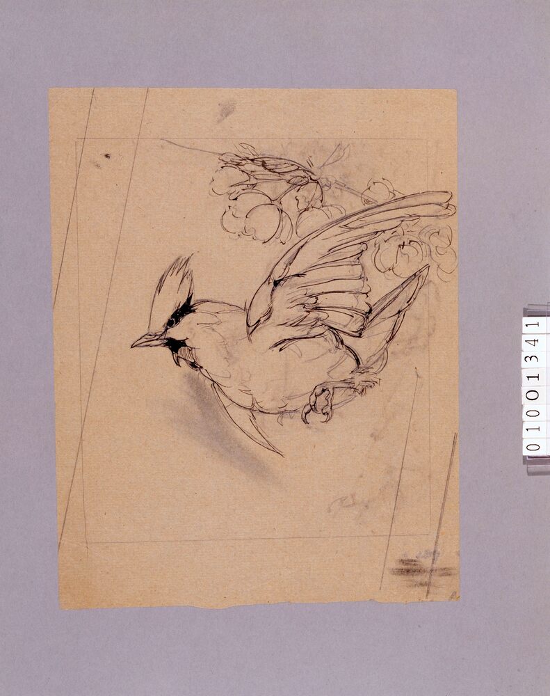 作品画像:下絵 花鳥