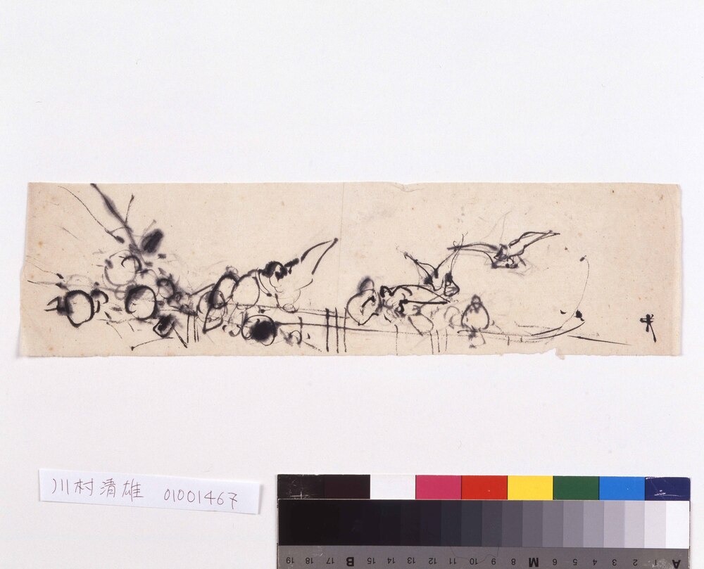 作品画像:習作 鳩図