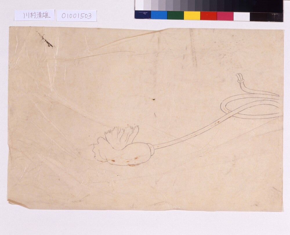 作品画像:下絵断片 行器の掛紐