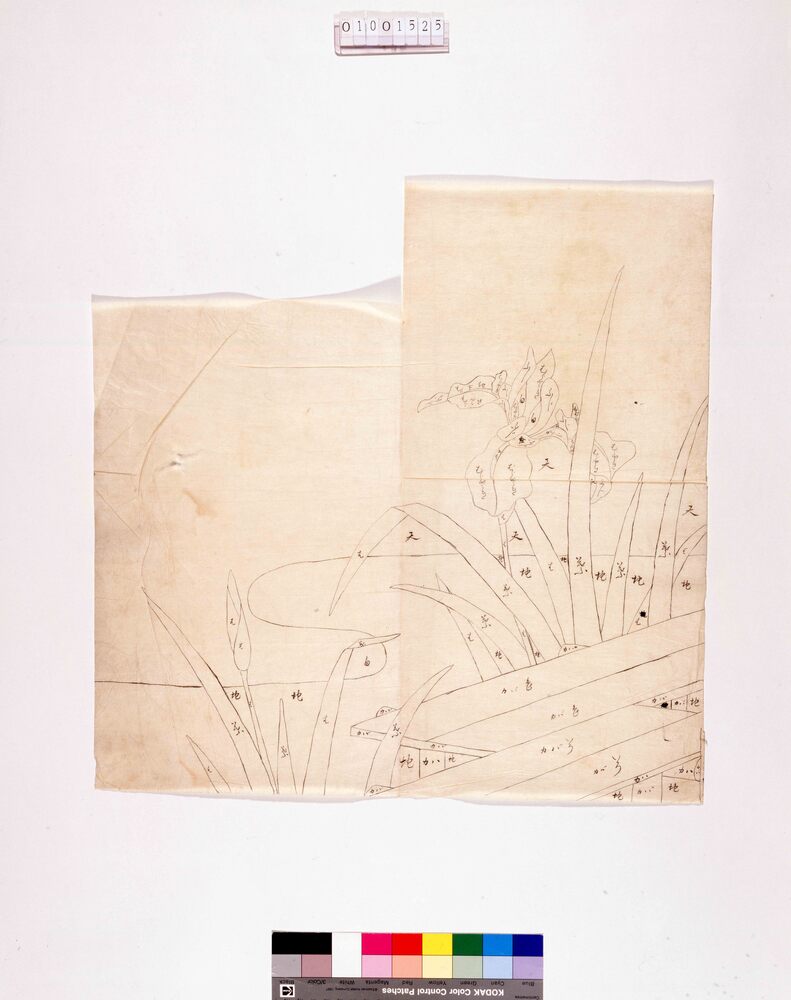 作品画像:下絵 杜若に八橋(色指定あり)