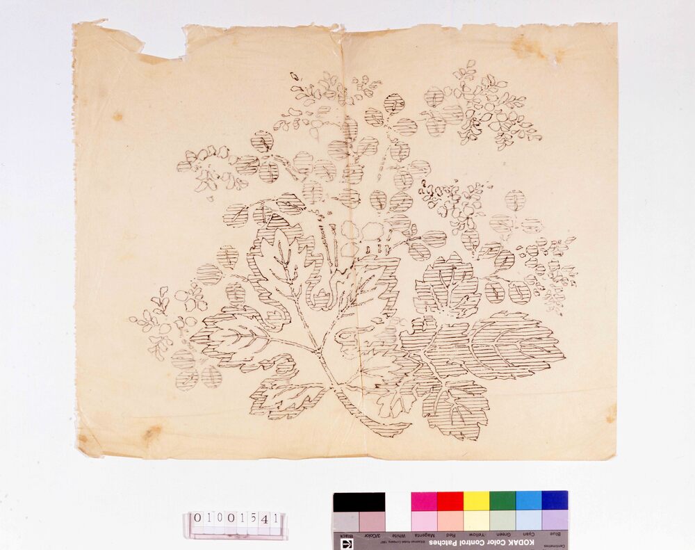 作品画像:下絵 植物文様(「形見の直垂」能衣裳)